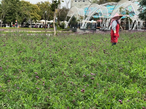 天然ㄟ,更好之從豐原花博葫蘆墩園區走到潭子聚興山464116