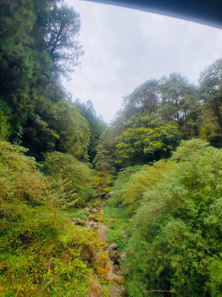 1090423鼓山出動特富野941003