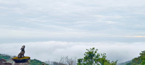 陽明山趴趴走追雲趣 #雲海 #琉璃光 1/26 認得幾個拍照地點共15個2988318