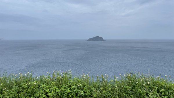 基隆的十八傘人家族2782876