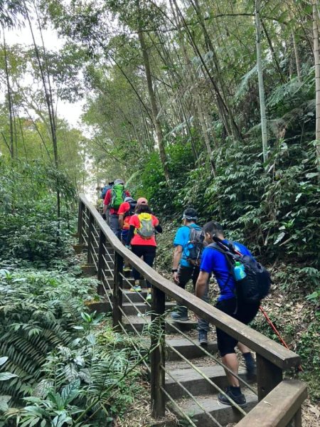 20240317十分速C團爬山趣2457014