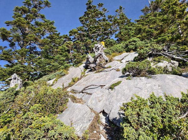 北一段(08/14)陶塞峰 2025_0906~132886955