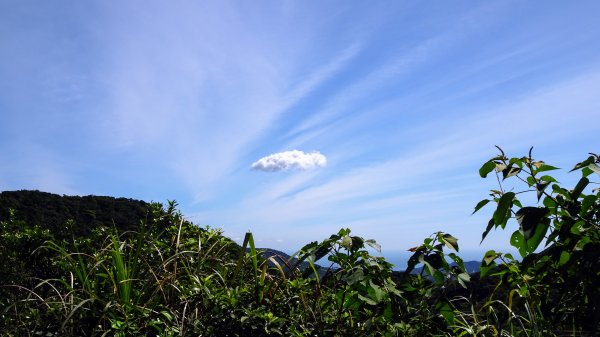 五指邁向擎天冷水坑1036797