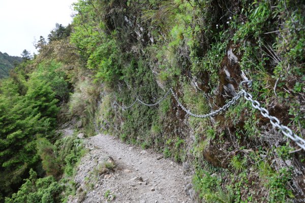 八通關古道X玉山前峰-年輕人爬山趣2848109