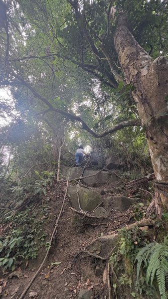 三腳南山2799560