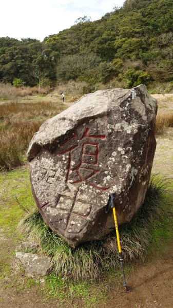 20260125 陽明山前後山健行(無極天元宮~山仔頂步道.向天池.向天山.面天山.二子坪)2997986