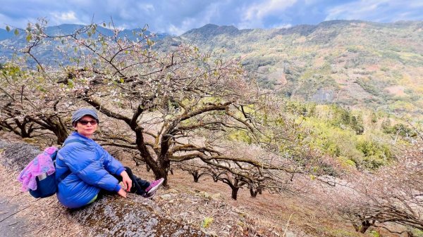 🌈1/17（六）蔡家古厝賞梅×梅子夢工廠×車埕老街✨FB：熊熊趴爬走🌈2983939