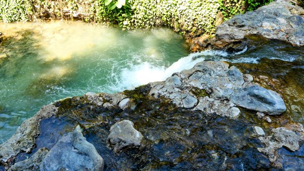 《蝶戀花・善光寺禪門櫻花》2709752