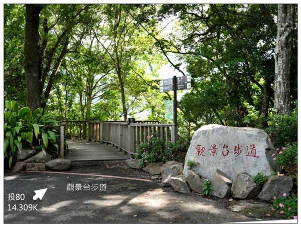 有勝山 (埔里六秀老二)3119347