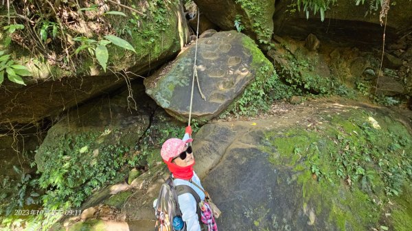 小百岳石牛山＆三坑生態園區走到大平紅橋2327968