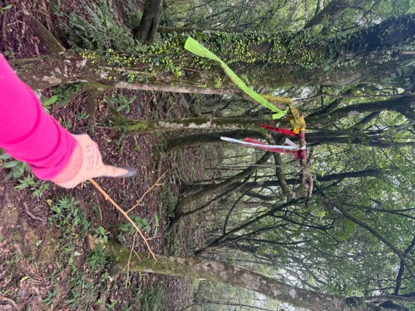 頭城火車站-頭圍山-礁水坑山南峰-礁水坑山-鶯子嶺2867055