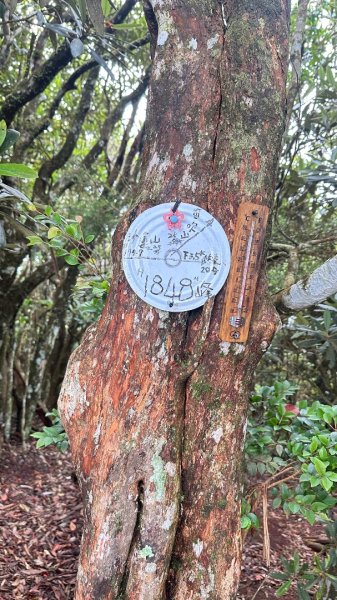 橫沙笛O繞2824597