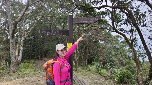 (姨婆趴趴走)第四十七集:新北土城大暖坑山等諸峰攀登連走2738767