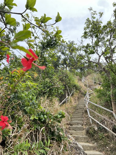 小百岳-大社觀音山2752488