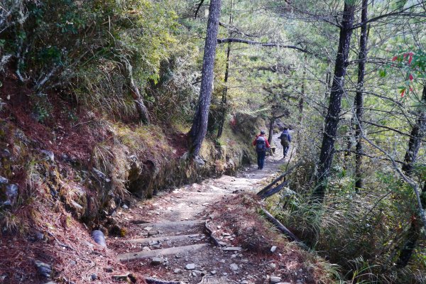 2019.4.2~3玉山主峰、西峰588518