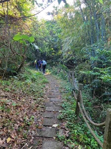 【屏東 | 小百岳 女仍山】來女仍找女人1306963