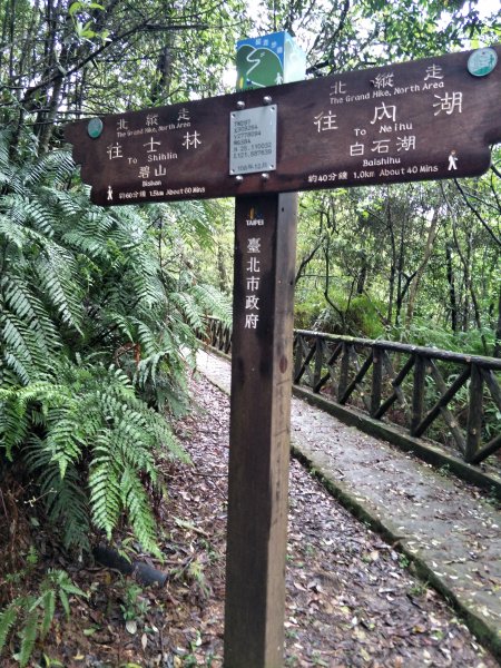 大崙頭山1299821