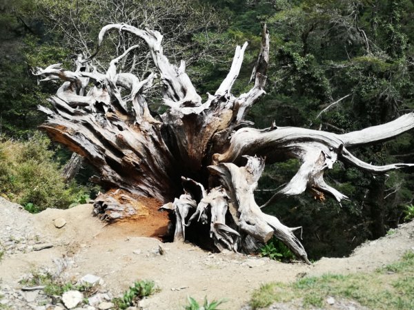 巴庫拉斯，七彩湖1339130