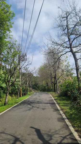 2025-0204 鶯歌_大凍山_三角埔頂山_迴龍2707869