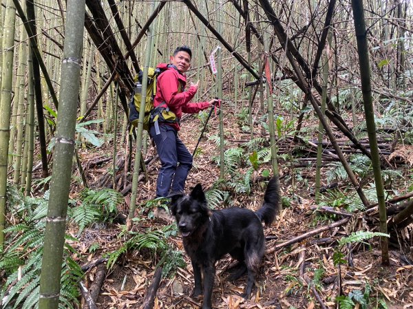 烏嘎彥竹林步道.馬都安古道【因為堅持 所以更顯珍貴】2064471