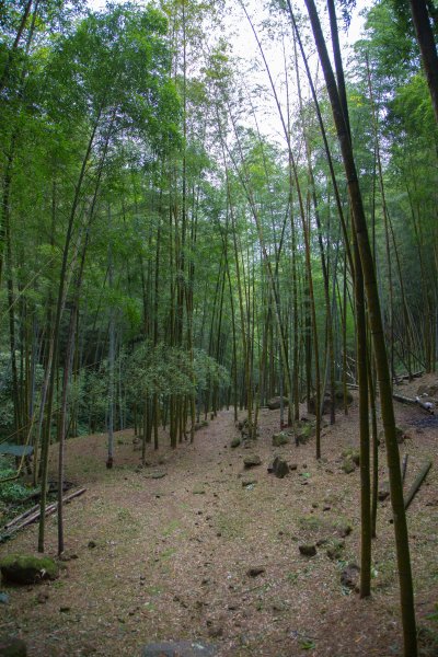 步道巡訪員 l 四大天王山步道第11巡～1177780