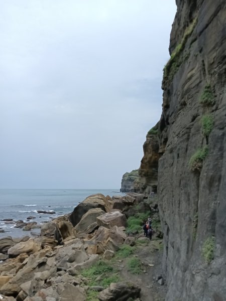 瑞芳區神秘海岸+鼻頭角燈塔+鼻頭角稜谷步道O型2760142