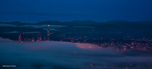 陽明山趴趴走 #琉璃光雲海 ，首拍 #綠鳩 4/272770749