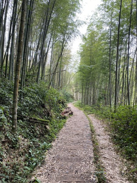 大凍山3060391