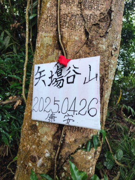 矢場谷山連走勃子山2805070