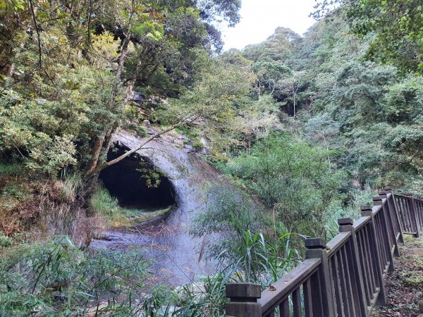 杉林溪燕庵步道1197255