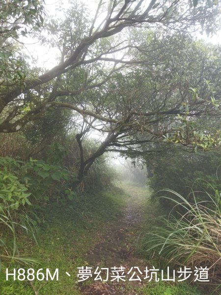 菜公坑瀑布、菜公坑山、百拉卡山1835944