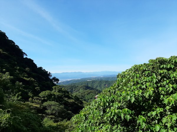 觀音山尋寶之硬漢嶺 牛港稜山 林梢1037527