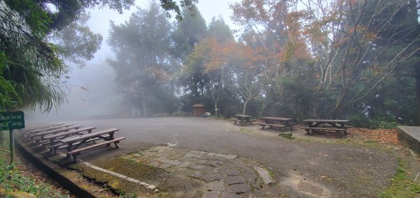 2023-11-25溪頭鳳凰山步道2361032