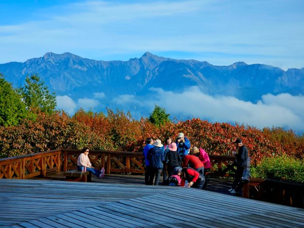 台灣難抵極與祝山觀日步道(小笠原山) - 2024嘉遊好步道．來嘉走走2670125