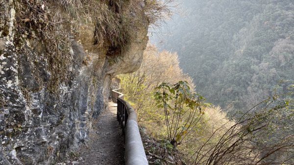 [南投信義]八通關古道秘境之湯|樂樂谷1251005