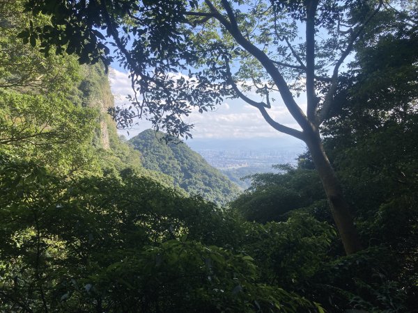 觀音山硬漢嶺登山步道+北橫古道+尖石步道2402134