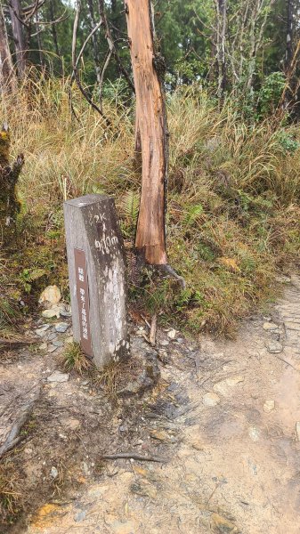 2025-0222 翠峰湖環山步道2718640