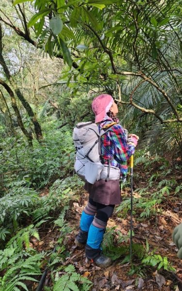 蛇來運轉-蛇子行古道-三爪坑山-蛇子崙山O2706709