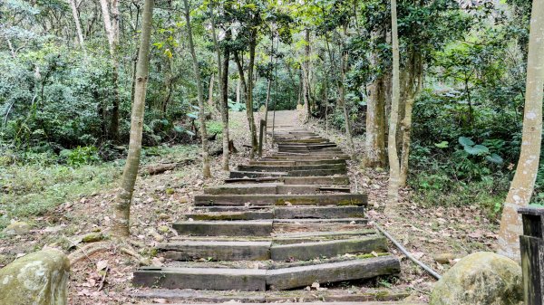 楊梅保甲古道,福人登山步道2695962