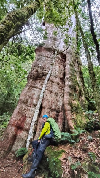 干卓萬群峰五天1141001~052906198