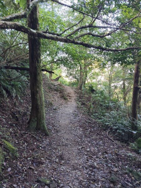 微笑山線：【二格山系】筆架連峰段2963188