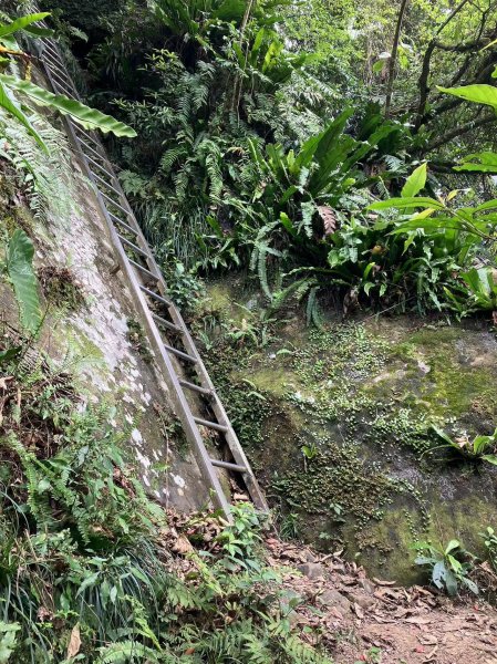 南勢角山烘爐地攀岩2104870