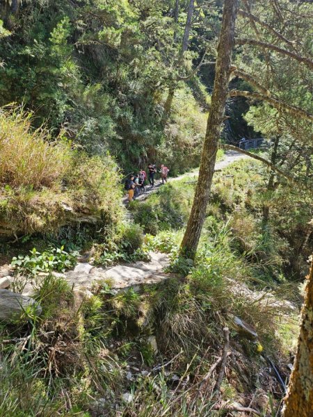 20240714🌞嘉明湖國家步道-向陽山⛰️2551348