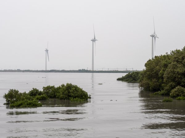 芳苑海空步道2961208