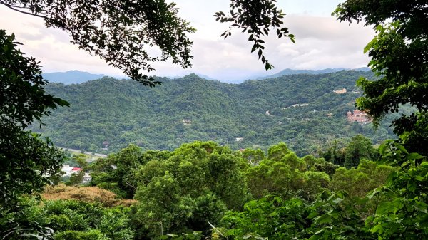 土城牛埔頭山，大安圳賞蝶步道，中和國旗嶺，鄧公嶺，長壽山，白馬寺，羊稠森林步道1810999