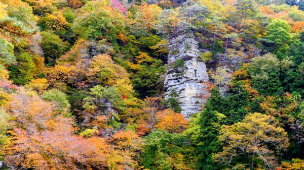 福島縣塔之斷崖2930300