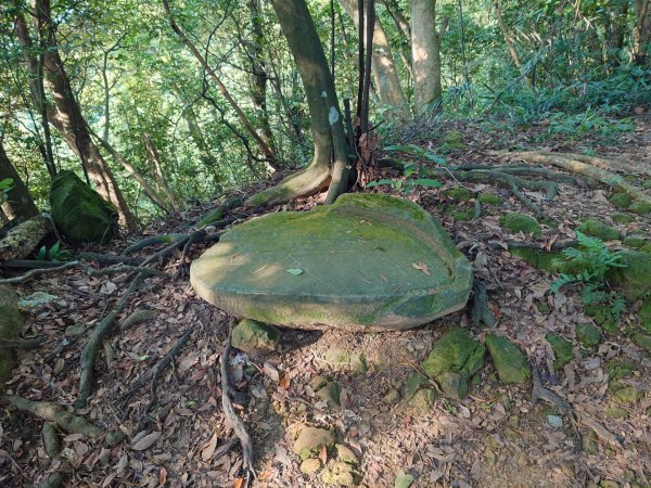 微笑山線之鳶山任務2855516