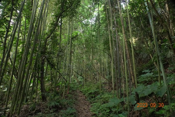 苗栗 大湖 玉女山、金童山、汶水山2301472