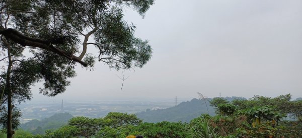 龍過脈森林步道.雲林內2513410