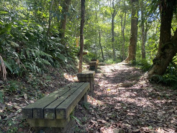深坑 O 型環走｜大崎嶺步道・林家草厝・茶山古道・炮子崙瀑布（含冷門山徑）2895113